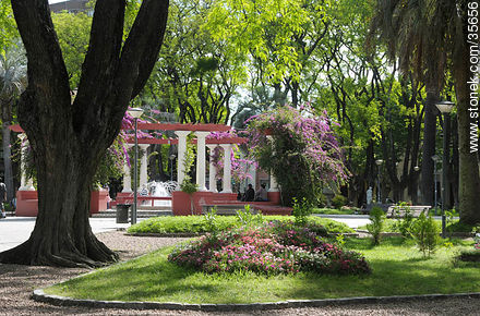 Plaza Sarandí. - Departamento de Durazno - URUGUAY. Foto No. 35656
