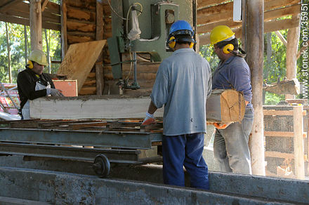 Industria maderera. Corte de perfiles de madera. - Departamento de Tacuarembó - URUGUAY. Foto No. 35951
