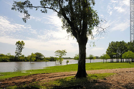 Rivera park is on the banks of the Uruguay river. - Artigas - URUGUAY. Photo #36315