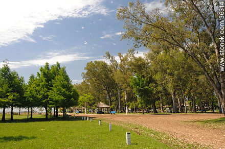 Parque Rivera a orillas del río Uruguay. - Departamento de Artigas - URUGUAY. Foto No. 36314