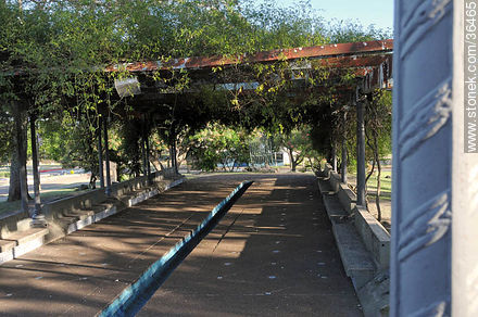 Plaza de Salto. - Departamento de Salto - URUGUAY. Foto No. 36465