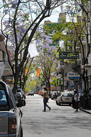 Downtown Salto. Uruguay Ave. - Department of Salto - URUGUAY. Photo #36368