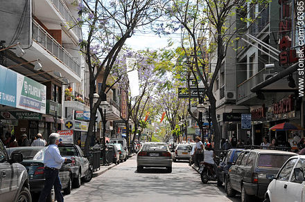 Downtown Salto. Uruguay Ave. - Department of Salto - URUGUAY. Photo #36365