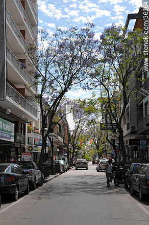 Downtown Salto. Uruguay Ave. - Department of Salto - URUGUAY. Photo #36364