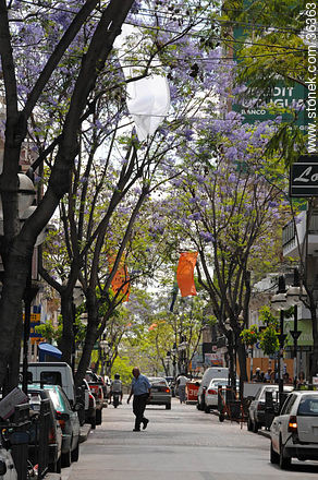 Downtown Salto. Uruguay Ave. - Department of Salto - URUGUAY. Photo #36363
