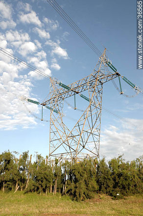 High tension tower. - Department of Salto - URUGUAY. Photo #36565