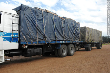 Camión con fruta procesada - Departamento de Salto - URUGUAY. Foto No. 36693