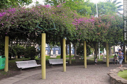 Plaza 25 de Mayo - Departamento de Salto - URUGUAY. Foto No. 36833