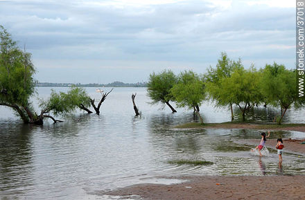 Río Uruguay crecido frente a Paysandú. - Departamento de Paysandú - URUGUAY. Foto No. 37018