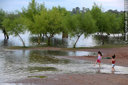 Río Uruguay crecido frente a Paysandú. - Departamento de Paysandú - URUGUAY. Foto No. 37017