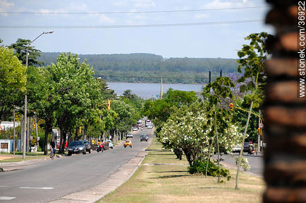 Avenida Soriano con vista al Río Uruguay - Departamento de Paysandú - URUGUAY. Foto No. 36922
