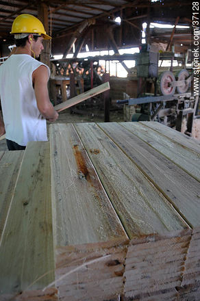 Industria maderera. - Departamento de Paysandú - URUGUAY. Foto No. 37128