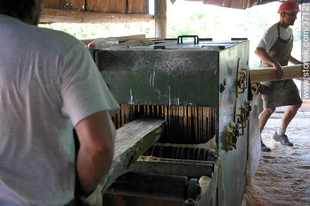 Industria maderera. - Departamento de Paysandú - URUGUAY. Foto No. 37121