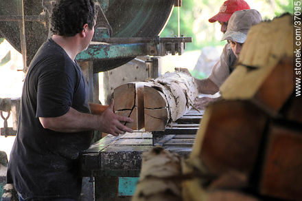 Industria maderera. Sección de troncos. - Departamento de Paysandú - URUGUAY. Foto No. 37095