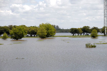 Río Uruguay crecido - Departamento de Paysandú - URUGUAY. Foto No. 37197