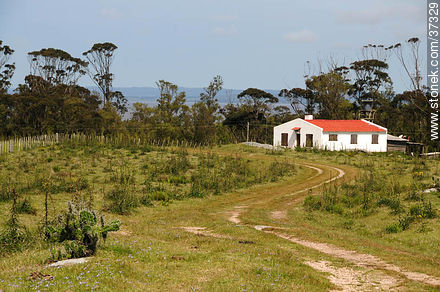 Paque Nacional de Santa Teresa - Departamento de Rocha - URUGUAY. Foto No. 37329