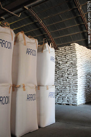 Depósito de producción de arroz. Arrocín. - Departamento de Rocha - URUGUAY. Foto No. 37521