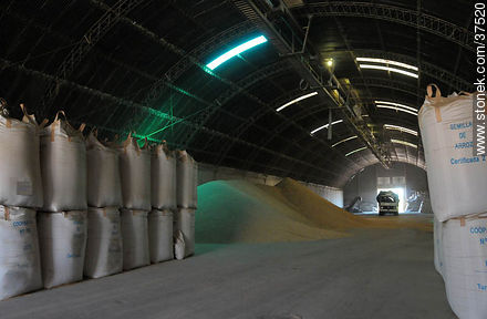 Depósito de producción de arroz - Departamento de Rocha - URUGUAY. Foto No. 37520