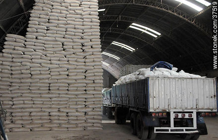 Depósito de producción de arroz - Departamento de Rocha - URUGUAY. Foto No. 37519