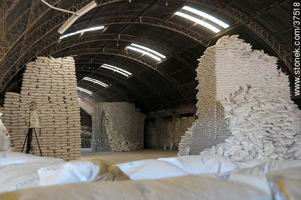 Depósito de producción de arroz - Departamento de Rocha - URUGUAY. Foto No. 37518