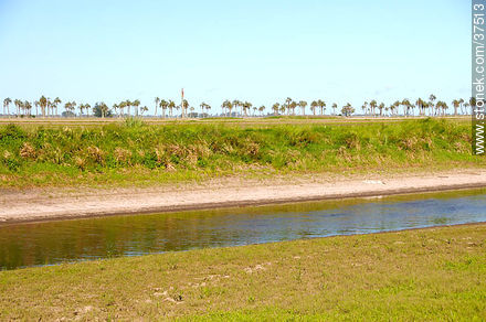 Canal de riego - Departamento de Rocha - URUGUAY. Foto No. 37513