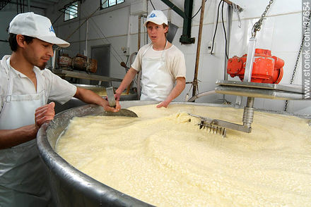 Pequeña industria de fabricación de quesos - Departamento de Colonia - URUGUAY. Foto No. 37654