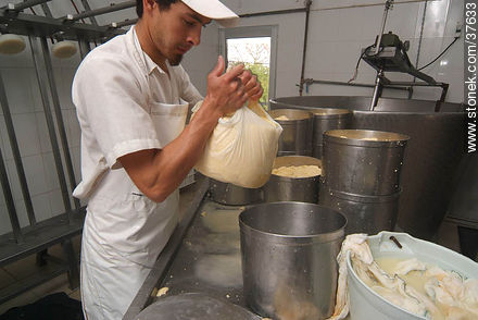 Pequeña industria de fabricación de quesos - Departamento de Colonia - URUGUAY. Foto No. 37633