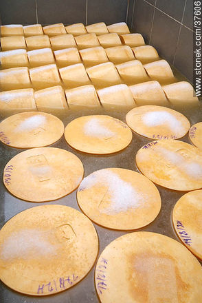 Proceso de salado del queso - Departamento de Colonia - URUGUAY. Foto No. 37606