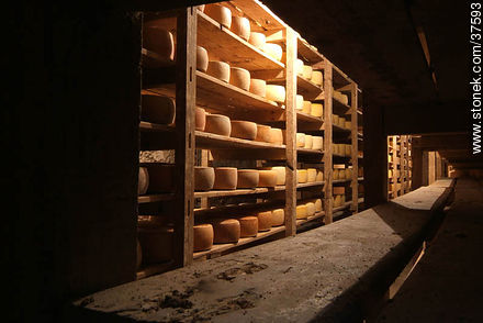 Depósito antiguo de quesos para maduración - Departamento de Colonia - URUGUAY. Foto No. 37593