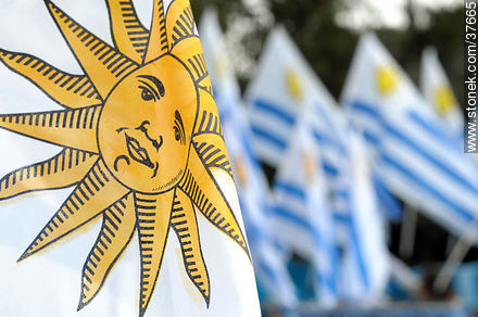 Uruguayan flags. -  - URUGUAY. Photo #37665