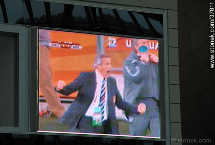 Tabárez gritando el primer gol de Uruguay en la semifinal. -  - URUGUAY. Foto No. 37811