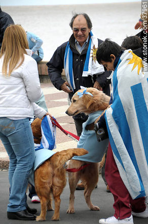 Uruguayan footbal soccer team reception after playing the World Cup in South Africa, 2010. -  - URUGUAY. Photo #37961