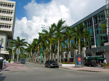 Miami Beach - State of Florida - USA-CANADA. Photo #38594