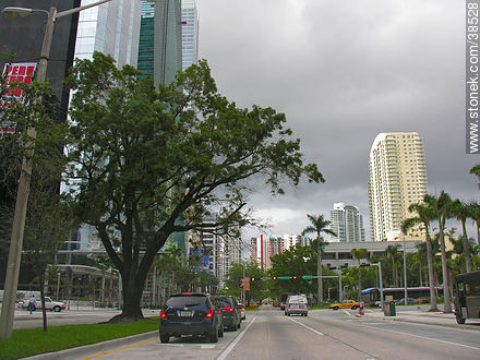 Downtown Miami - State of Florida - USA-CANADA. Photo #38528