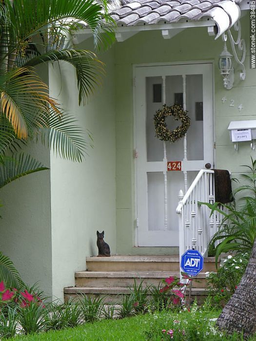 Gato perdido - Estado de Florida - EE.UU.-CANADÁ. Foto No. 38485