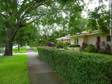 Calle de Coral Gables - Estado de Florida - EE.UU.-CANADÁ. Foto No. 38483
