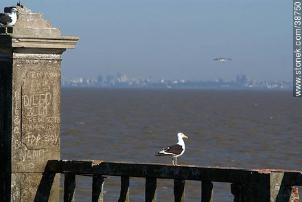 Montevideo from Isla de Flores island -  - URUGUAY. Photo #38750