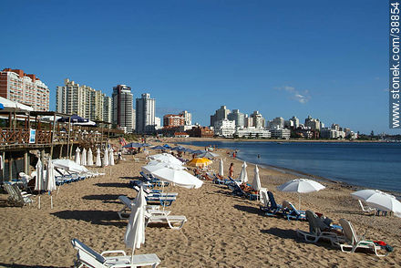 Playa Mansa - Punta del Este and its near resorts - URUGUAY. Photo #38854