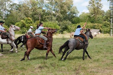 Young Riders rode in the field - Tacuarembo - URUGUAY. Photo #39615