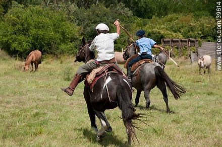 Jóvenes jinetes cabalgando en el campo - Departamento de Tacuarembó - URUGUAY. Foto No. 39614