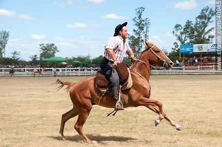 Ability to master the horse. - Tacuarembo - URUGUAY. Photo #40045