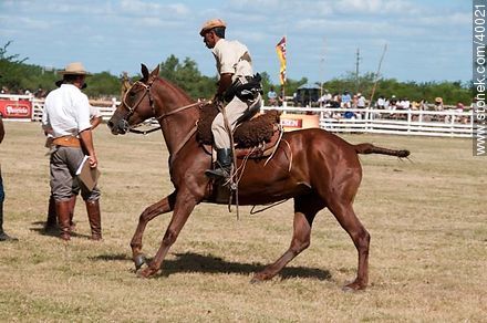 Ability to master the horse. - Tacuarembo - URUGUAY. Photo #40021