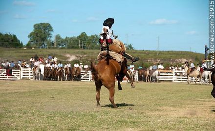 Riding a wild horse - Tacuarembo - URUGUAY. Photo #39935