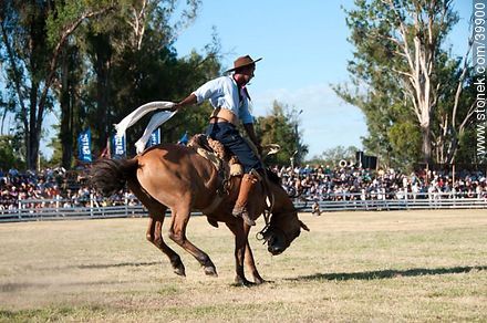 Taming a horse - Tacuarembo - URUGUAY. Photo #39900