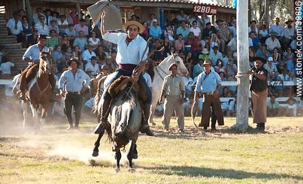 Taming a horse - Tacuarembo - URUGUAY. Photo #39896