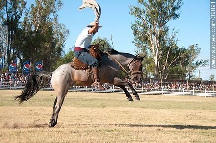 Taming a horse - Tacuarembo - URUGUAY. Photo #39891
