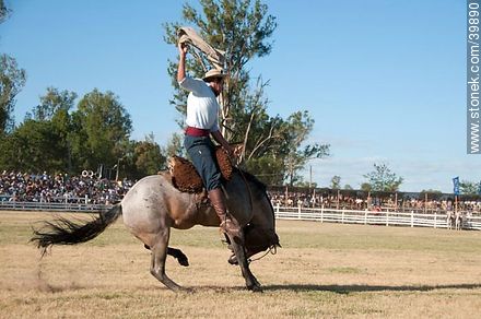 Taming a horse - Tacuarembo - URUGUAY. Photo #39890