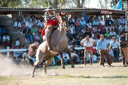 Taming a horse - Tacuarembo - URUGUAY. Photo #39889