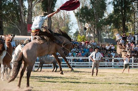 Taming a horse - Tacuarembo - URUGUAY. Photo #39883