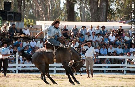 Taming a horse - Tacuarembo - URUGUAY. Photo #39880
